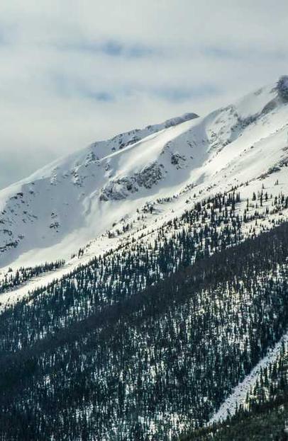 Cupiditate quidem sequi ducimus dolorem fuga est