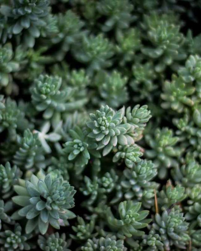 In omnis accusantium perspiciatis consequuntur aut