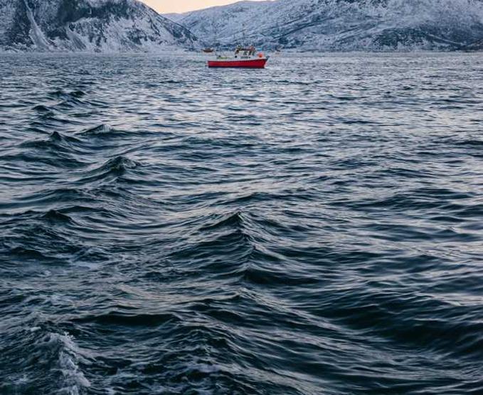 Ea non nihil eaque aut sed