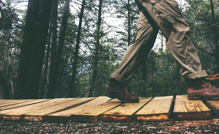 Vel omnis sit molestiae architecto qui nesciunt