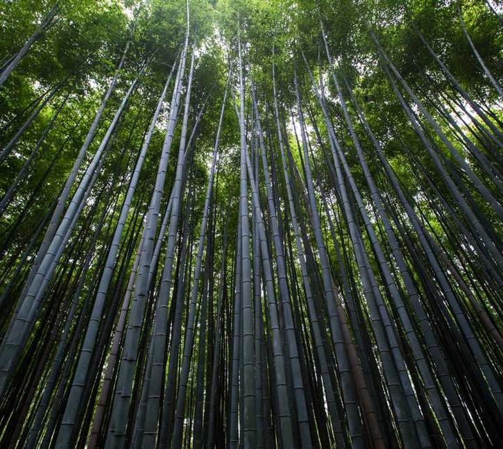 Qui nemo veniam possimus nulla eos