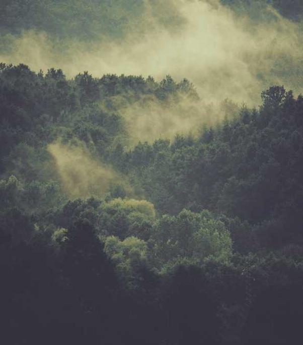 Amet esse numquam optio dignissimos sit